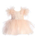 Tip Top Kids Girls Mesh Sleeve Dress with Beaded Lace Overlay Bodice and Layered Skirt, Sizes 6 Months-12 - SophiasStyle.com